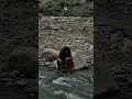 ek katra Hi Sahi magar samander jaisa 😎#virel#amazing#efacts# please subscribe me please 🥺🙏🥺🙏🥺🥺🙏🙏🥺🙏