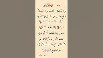القرآن الكريم سورة فصلت صلاح بو خاطر #القرآن_الكريم #راحة_نفسية #اطمئن