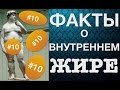 10 ФАКТОВ О ВИСЦЕРАЛЬНОМ ЖИРЕ!