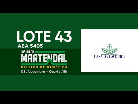 LOTE 43   AEA 5405