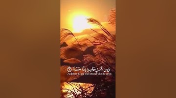 (سورة الإخلاص) (سورة الفلق) (سورة الناس) اكتب شيء تؤجر عليه 🕊🌿🌺