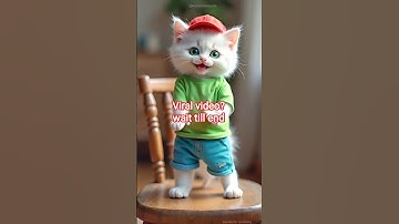 Cute kitten dance going viral 💃🔥 | Viral video 🥰 #shorts #shortsfeed #cat #catdance #cutecat