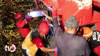 Kontrolden Çıkan Kamyon Ormana Uçtu