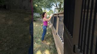 How to stain a pressure treated wood deck — with helpful pro tips