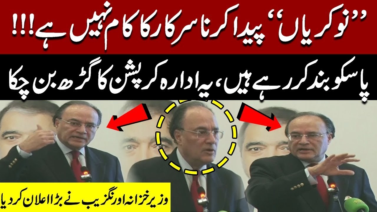 Creating Jobs Is Not Govt Job Finance Minister Announces Closure of PASSCO Over Corruption 🇵🇰💥