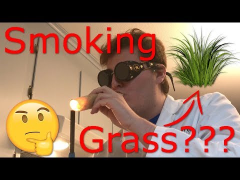 Video: De ce fumează mâncătorul de iarbă?
