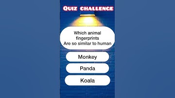 Can You Survive the Animal IQ Test?”quiz new video #quizchallenge #mindbendingquiz #quiz #general