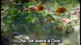 Asi se alaba a Dios (Ricardo Rodriguez) chords