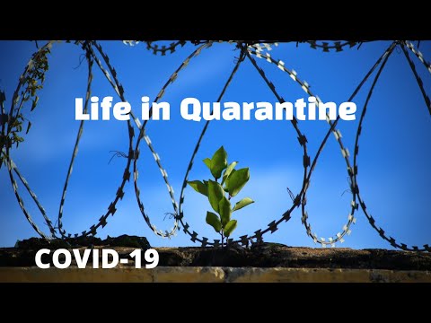 life-in-quarantine---covid-19-in-china-#coronavirus-#covid-19-#china-#beijing-#shanghai-#chongqing