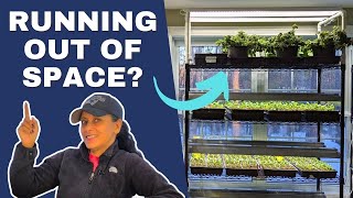 Add More Space Indoor Seeding Starting | Grow Light Expansion | Gardening Hack