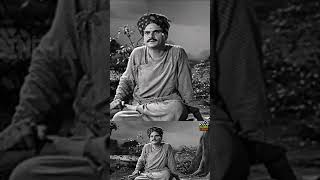 வயததத தடடன பச தரநதபயடம?