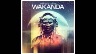 Dimitri Vegas & Like Mike - Wakanda (Extended)