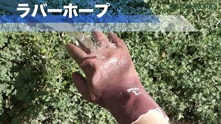 ラバーホープ