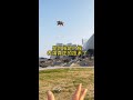 It's time to show off real skills! Sugar Glider Can Fly
