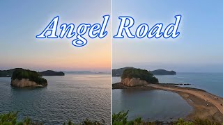 Walking a Disappearing Road in Japan  Shodoshima Island  Angel Road