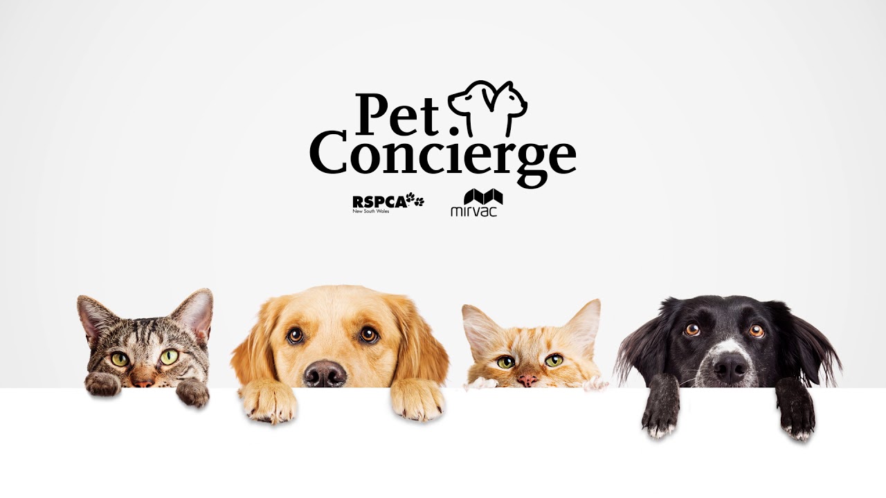 Pet Concierge by RSPCA NSW and Mirvac 