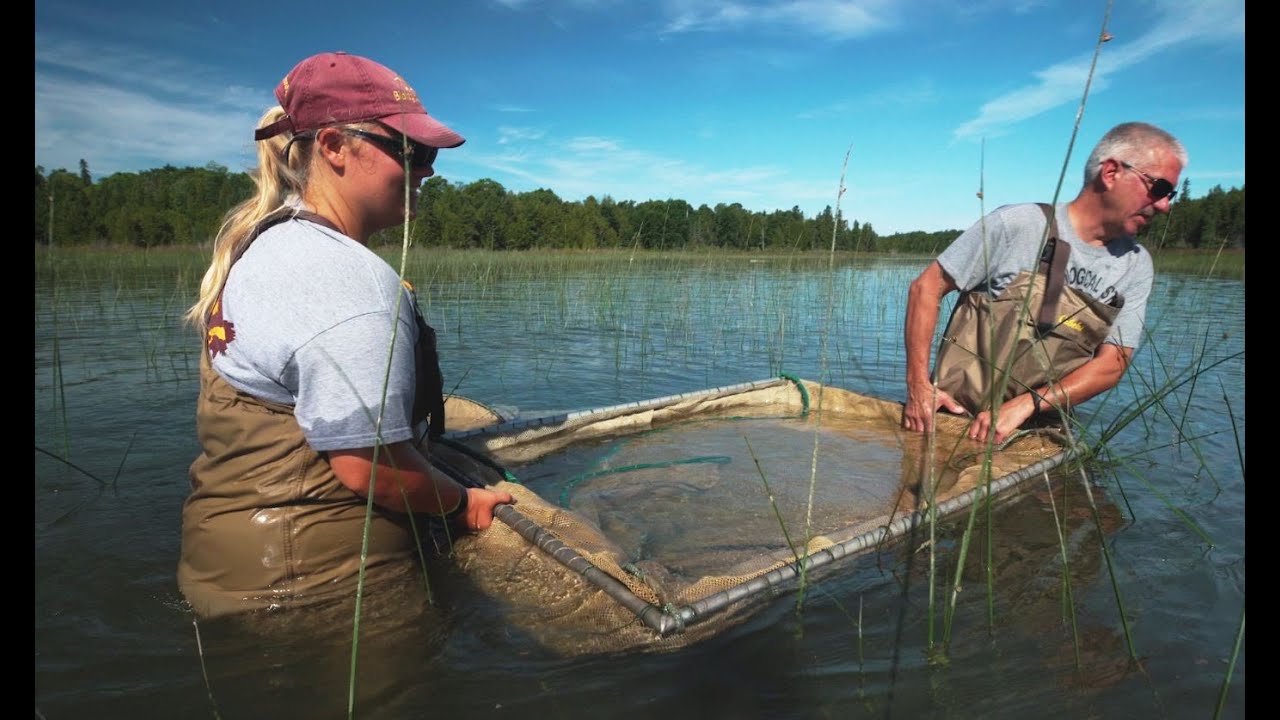 Linking Land and Lakes in Quarantine- Great Lakes Now - 1014 - Segment 2