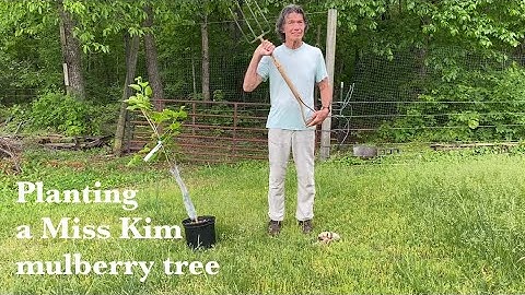 Learn how to plant a tree with Michael McConkey at Edible Landscape