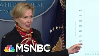 New White House Model Projects 100k - 200k Deaths From Coronavirus | MSNBC