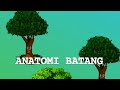 28+ Anatomi Xilem Dan Floem