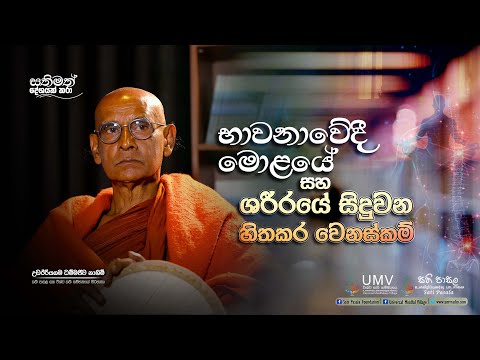 භාවනාවේදී මොලයේ සහ ශරීරයේ සිදුවන හිතකර වෙනස්කම්