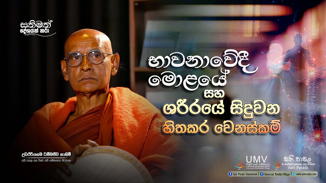 භාවනාවේදී මොලයේ සහ ශරීරයේ සිදුවන හිතකර වෙනස්කම්