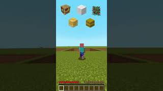 PLAYER VS BLOCKS🤪#minecraft #shorts #viral