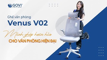 Ghế văn phòng Venus V02A-G - Mảnh ghép hoàn hảo cho văn phòng hiện đại | Nội thất Govi