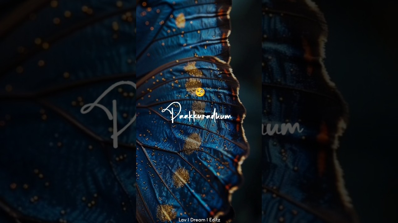 Yaayum💗🤌#love #trending #shortsfeed #tamilsong #lyrics #favone #viral #song #fyp #status auf YouTube ansehen Yaayum💗🤌#love #trending #shortsfeed #tamilsong #lyrics #favone #viral #song #fyp #status auf YouTube ansehen