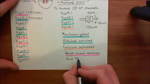 The Two Pore Domain Potassium Channels Part 4