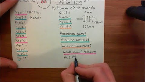 The Two Pore Domain Potassium Channels Part 4