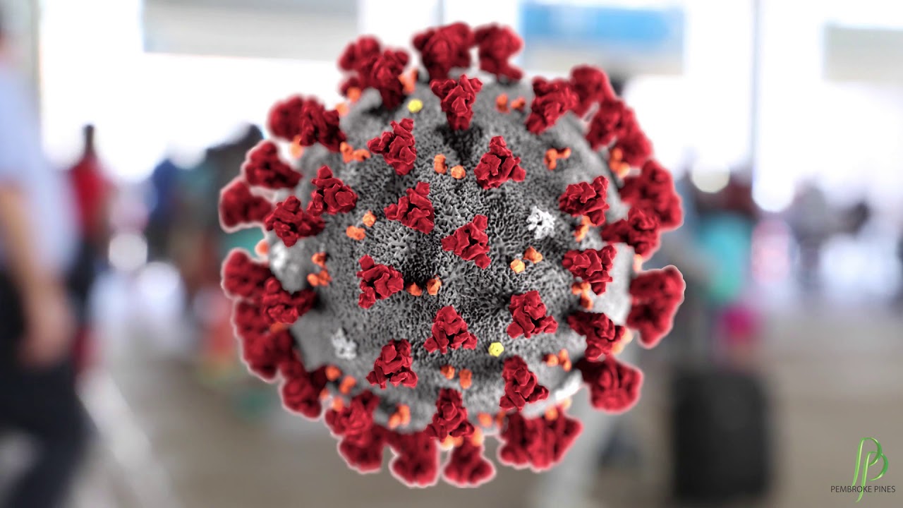 Pembroke Pines Mayor Update on COVID-19