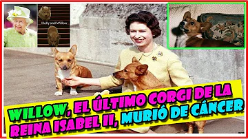 ¿Cuál es el perro favorito de la reina?