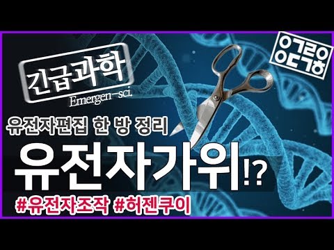 유전자가위 유전자편집 한 방 정리! [안될과학-긴급과학]