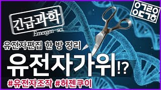 유전자가위 유전자편집 한 방 정리! [안될과학-긴급과학]