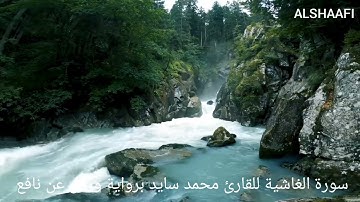 محمد سايد - سورة الغاشية |088|MOHAMED SAYED - SURAT AL GHACHIYA
