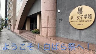2021年度 白ばら祭 特設サイト｜図書委員・有志企画 | 品川女子学院