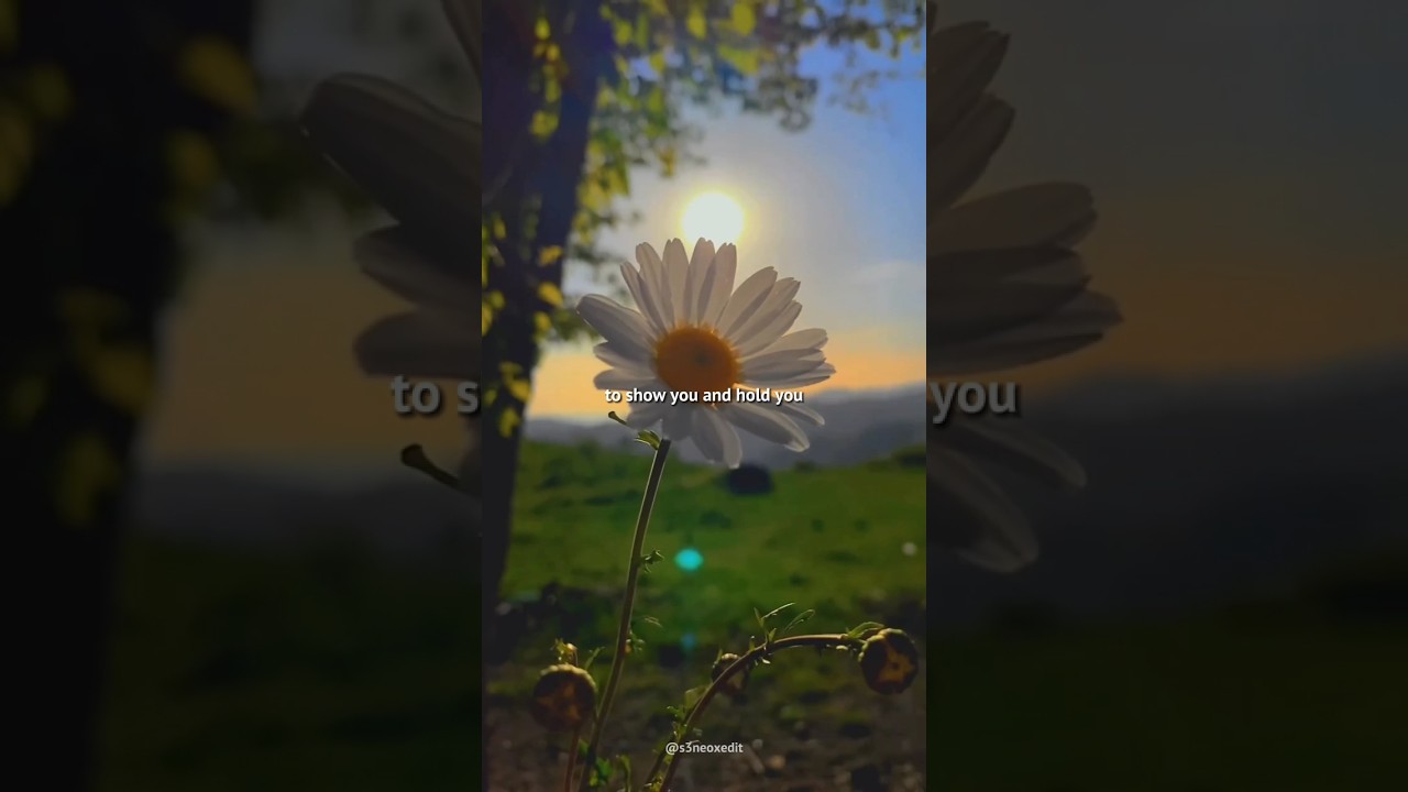  - HeartVod