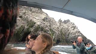 Ireland Drive - Day 5 Part 2 - Skellig Michael Boat Tour