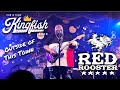 Christone &quot;Kingfish&quot; Ingram @ Red Rooster 2023 - Outside Of This Town