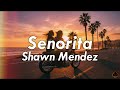 [10 Hours] - Senorita - Shawn Mendez - Perfect Loop