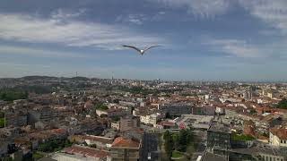 Santos Pousada 63 - Video 6