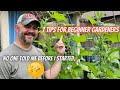 Get off to a great start in your gardening journey with these 7 tips  dhbg