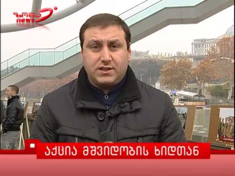 აქცია მშვიდობის ხიდთან 23.11.2013