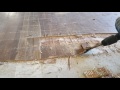 Glue down wood floor removal