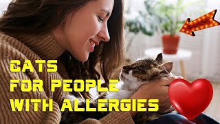 14 Hypoallergenic Cat Breeds for People With Allergies