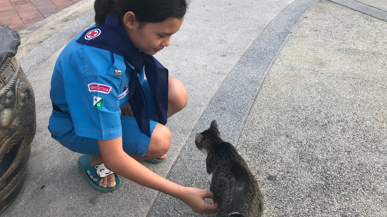 チャイナタウン ファランポーン駅周辺 の立ちんぼナイトスポット情報 えなねこ タイde観光るんるん帳 チャイナタウン ファランポーン駅周辺 の立ちんぼナイトスポット情報 えなねこ タイde観光るんるん帳