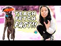 TRAIN YOUR DOG FETCH FAST 🐶 NEW! 3 Step Strategy that works on any dog