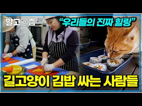 “제 인생이 바뀌었어요” 길고양이들 위해 손맛 제대로 낸 <strong>동네</strong> 사람들이 차린 급식소, 특급 <strong>맛집</strong> 되다｜한국기행｜알고e즘