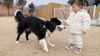 서툰 아기를 위해 강아지가 한 감동적인 행동ㅠㅠ